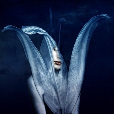 Beautiful monsters 3, 2018 (digital fotokunst) av Johan Lilja