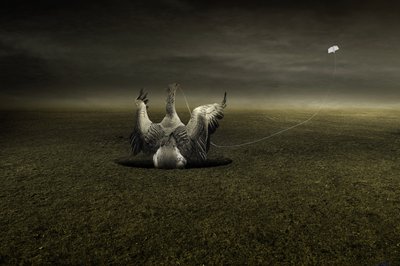 Hjelp på vei, 2013 (fotografi) av Johan Lilja