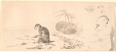 Apekatten. T.h. studier av apehoder etc. av Johan Thomas Lundbye