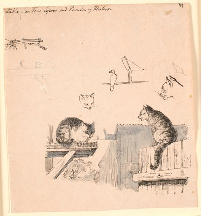 De to kattene. F.o. studier av kattehoder, en fugl, et katteøre og bjelkearbeid. Illustrasjon til Kaalunds "Fabler for barn". Se kommentar fra arkkatalog. av Johan Thomas Lundbye