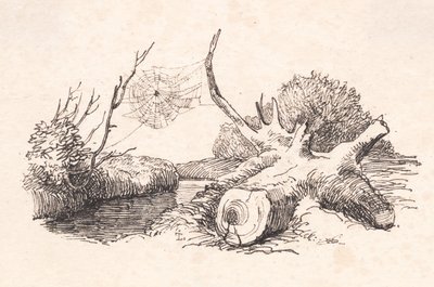 Edderkoppen av Johan Thomas Lundbye