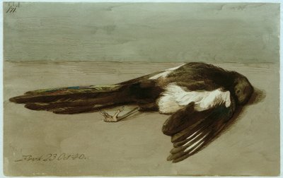En død skjære av Johan Thomas Lundbye
