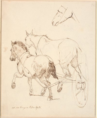 En Nordbagge og en vanlig hest spennet til samme vogn. Fo Hestehode av Johan Thomas Lundbye