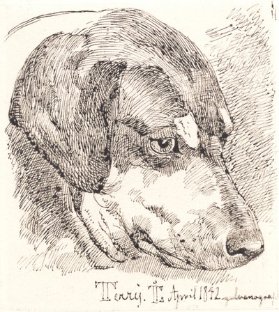 Hundehoved, Terry av Johan Thomas Lundbye