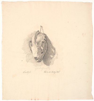 Hundekranium av Johan Thomas Lundbye
