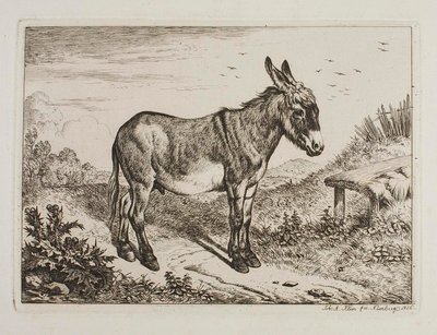 Esel av Johann Adam Klein