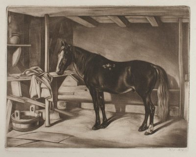  av Johann Adam Klein