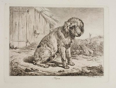  av Johann Adam Klein