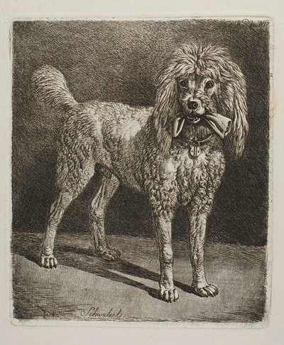  av Johann Adam Klein