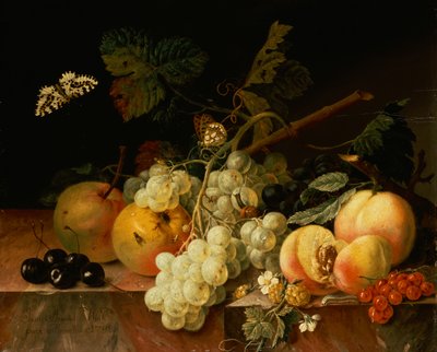 Frukt på en marmorhylle med sommerfugler, snegl og larve (olje på lerret) av Johann Amandus Wink