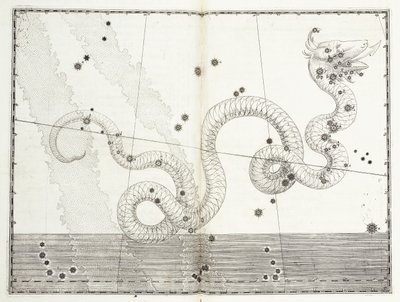 Constellation of Serpens Head and Serpens Tail, ca. 1603 av Johann Bayer