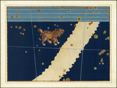 Johann Bayer, Lillehund av Johann Bayer
