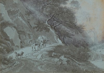  av Johann Christian Brand