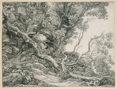 Trær i en fjellskråning av Johann Christian Reinhart