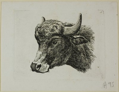 Buffalo Head Facing Venstre, fra Die Zweite Thier Folge av Johann Christian Reinhart