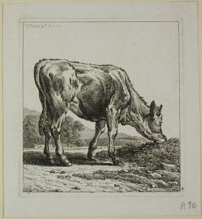 Kalvefôring, fra Die Zweite Thierfolge av Johann Christian Reinhart