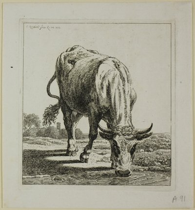 Cow Drinking, fra Die Zweite Thiernahme av Johann Christian Reinhart