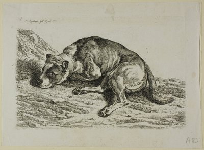 Dog Laying Down, fra fra The Second Succession of the Thief av Johann Christian Reinhart