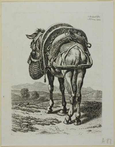 Feeding Mule - Rear, fra Die Zweite Thier Folge av Johann Christian Reinhart