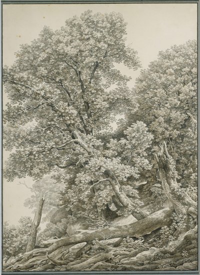 Stor trestudie av Johann Christian Reinhart