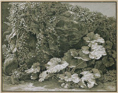 Storbladede planter ved en klippegrotte dekket av eføy av Johann Christian Reinhart