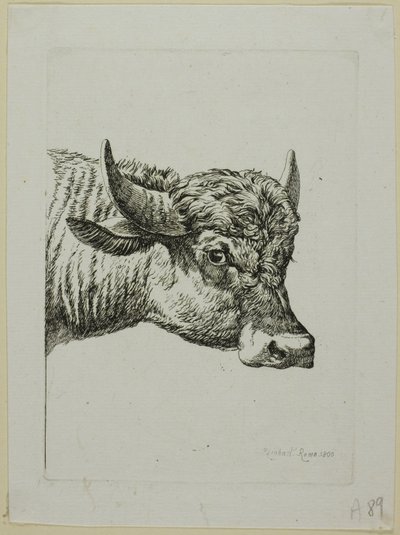 Head of a Buffalo, fra Die Zweite Thiernahme av Johann Christian Reinhart
