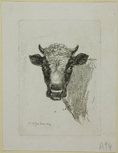 Head of a Young Bull, from Die Zweite Thierfolge   1297741   no       norwegian Successfully Translated  Original: Zaal in Frascati te Amsterdam 1855 Souvenir den bezoekers van Frascati aangeboden. Amsterdam 9-24 september 1855 (title on object) Translat:  av Johann Christian Reinhart