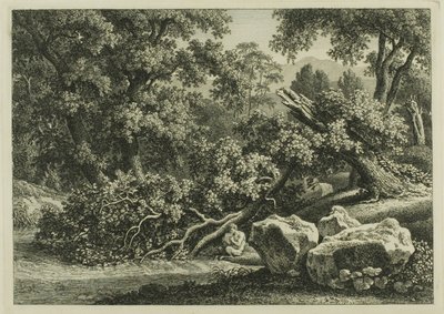 Landskap med panorering på fløyte av Johann Christian Reinhart