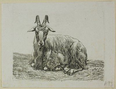 Liggende geit, fra Die Zweite Thiernahme av Johann Christian Reinhart