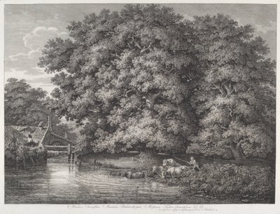The Mill at the Great Oaks av Johann Christian Reinhart