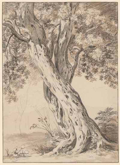 To sammenflettede eiketrær av Johann Christian Reinhart