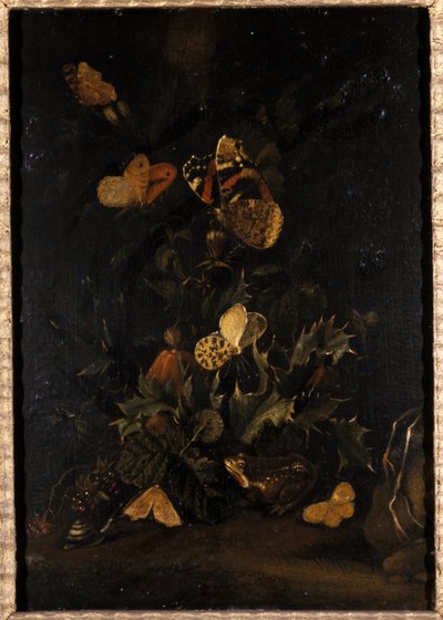 Blomster med sommerfugler og padde (olje på eiketre) av Johann Christian Thomas Winck