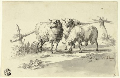 Sau av Johann Christoph Kimpfel