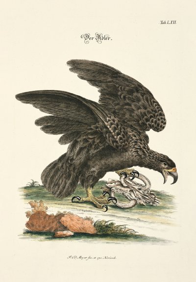 Ørnen av Johann Daniel Meyer