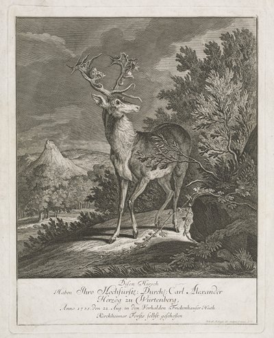 En storslått hjort i et landskap av Johann Elias Ridinger