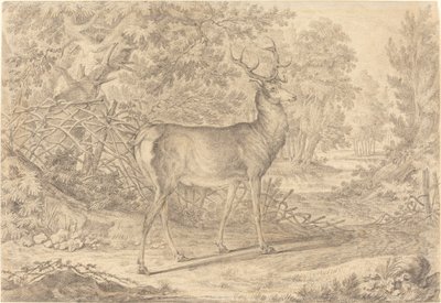 En fantastisk unghjort foran et Wattle-gjerde av Johann Elias Ridinger