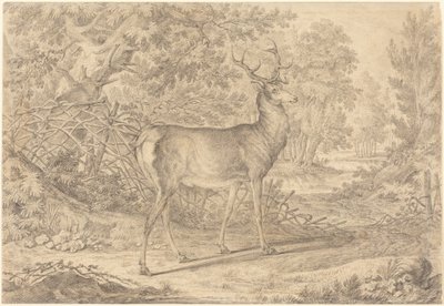  av Johann Elias Ridinger