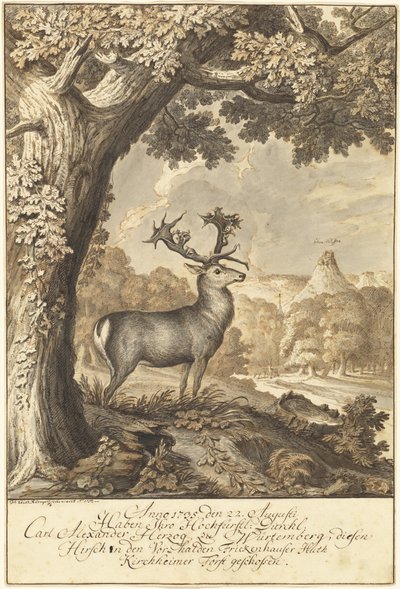 En hjort under en mektig eik av Johann Elias Ridinger