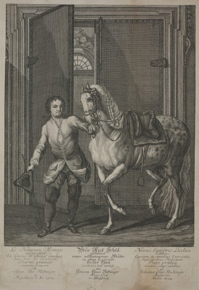 New School of Horsemanship av Johann Elias Ridinger