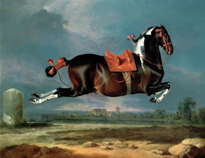 Den brune hesten 'Cehero' oppdrett av Johann Georg Hamilton