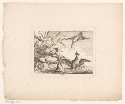Landskap med seks ender Fugler i landskap (serietittel) av Johann Georg Hertel (I) (possibly)