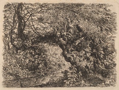 En gammel pil ved en bekk av Johann Georg von Dillis