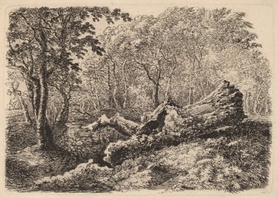 Muldrende trestamme, 1794. av Johann Georg von Dillis