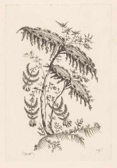 Blader med hornformer Fleures Baroque (serietittel) av Johann Heinrich  Hess