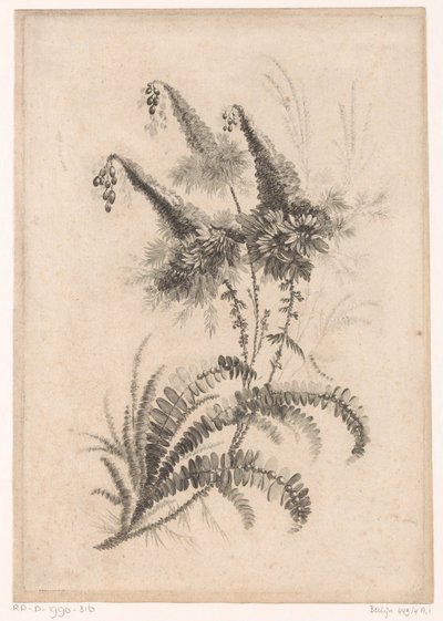 Puntige blomster Samling av nye smaksblomster; For Manufacture des Etoffes de Perse (serietittel) av Johann Heinrich  Hess