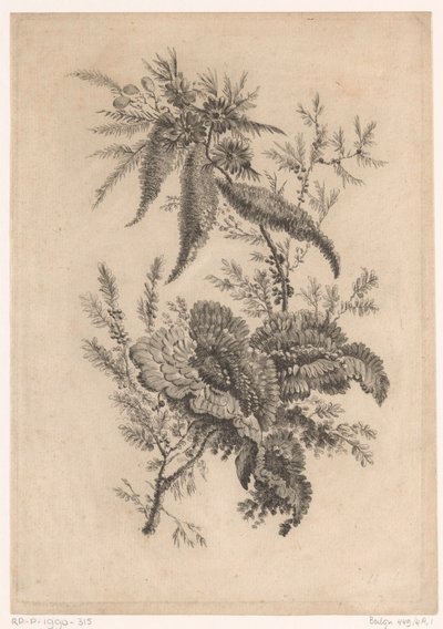 Wilde roosachtigen Samling av nye smaksblomster; For Manufacture des Etoffes de Perse (serietittel) av Johann Heinrich  Hess