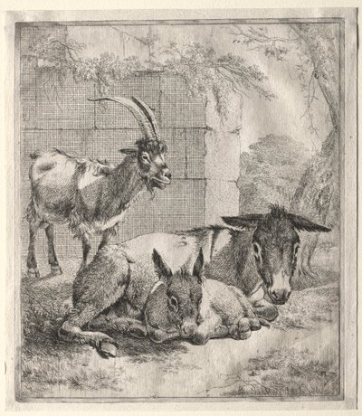 Geit og esler av Johann Heinrich Roos
