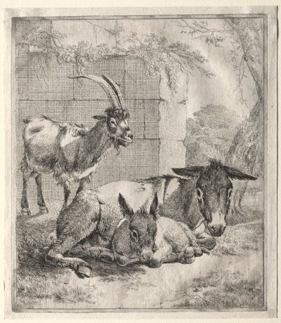 Geit og esler. av Johann Heinrich Roos