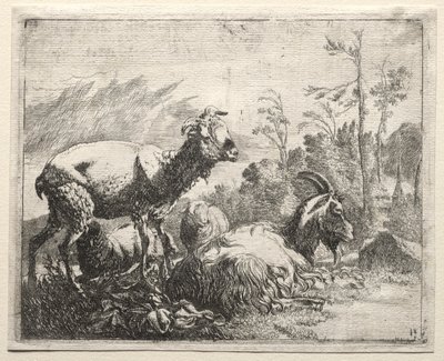 Geiter av Johann Heinrich Roos
