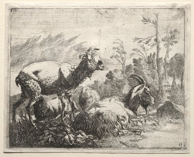 Geiter, 1665. av Johann Heinrich Roos